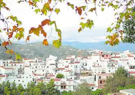 Sayalonga, the pretty Axarquía village that is home to the níspero fruit festival.
