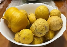 Lemons harvested on a farm in the Axarquía.