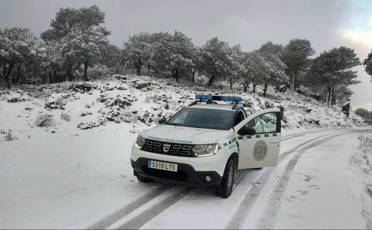 White blanket of snow this Monday morning at one of the entrances to the Sierra de las Nieves National Park. 