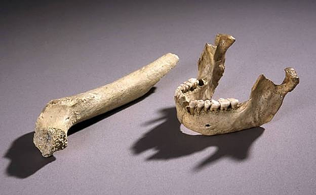 Neanderthal bones found in the cave 