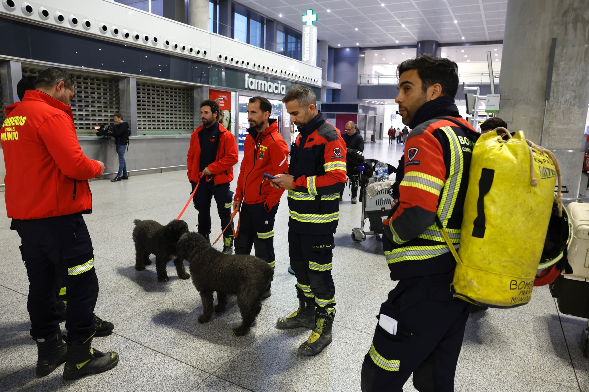 Imagen secundaria 2 - Malaga Airport this morning.