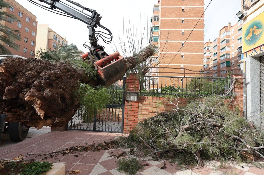 Malaga city recorded the largest volume of incidents in the province 