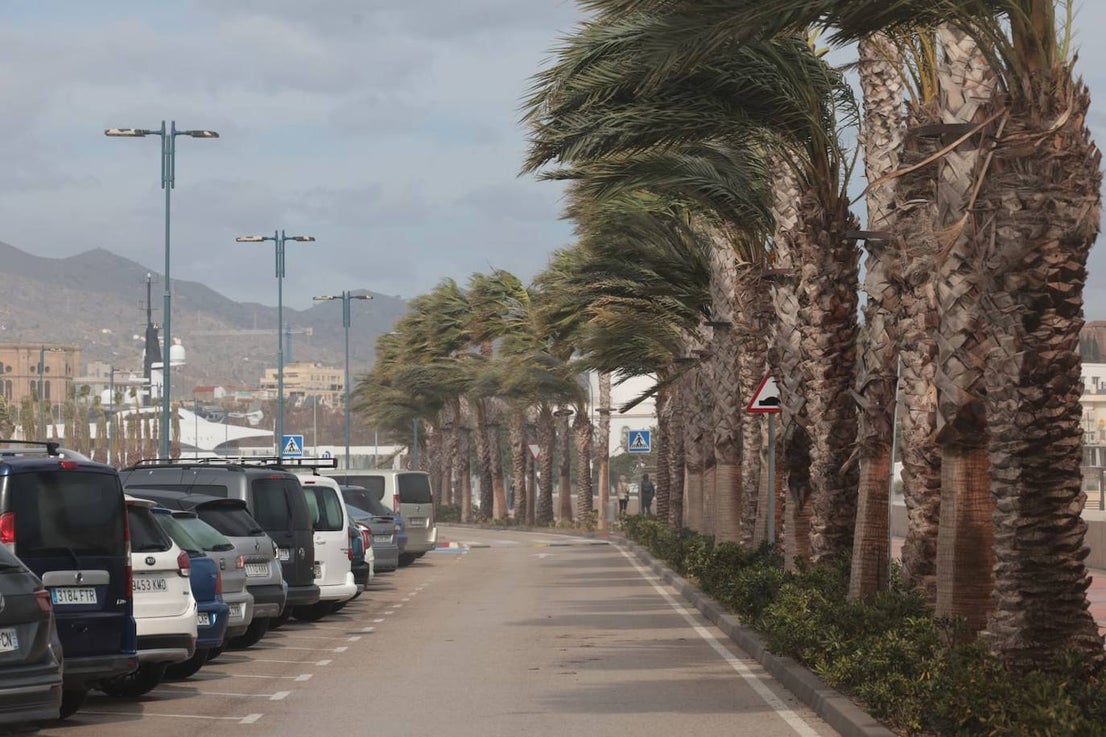 Malaga city recorded the largest volume of incidents in the province 