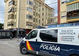 Police find woman suffocated at her home and her partner hanged in her son's house in popular Costa del Sol holiday resort