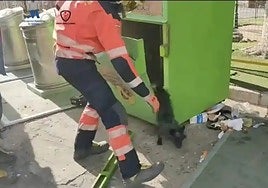 Moment of the rescue by the Malaga Provincial Fire Brigade.