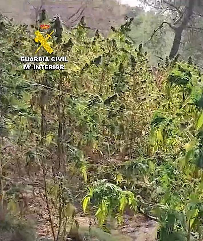 Imagen secundaria 2 - The Civil Guard police operation in the Nerja mountains.