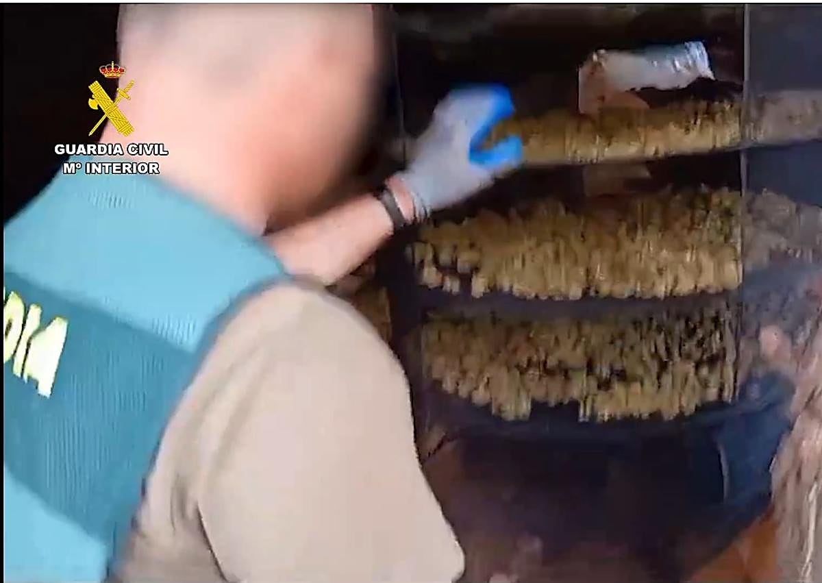 Imagen secundaria 1 - The Civil Guard police operation in the Nerja mountains.