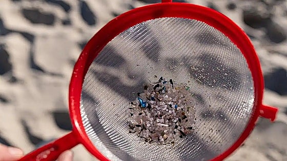 Authorities monitor Gibraltar coastline after plastic pellets wash up on nearby beach in Spain