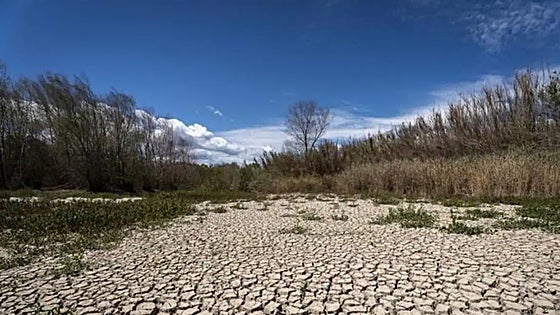 Catalonia region in north of Spain likely to enter drought emergency phase with water rationing soon