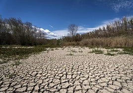 The Muga riverbed, in Girona.