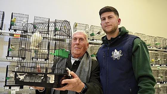 Canary fanciers from all over Andalucía flock to inland Malaga town's 60th annual show