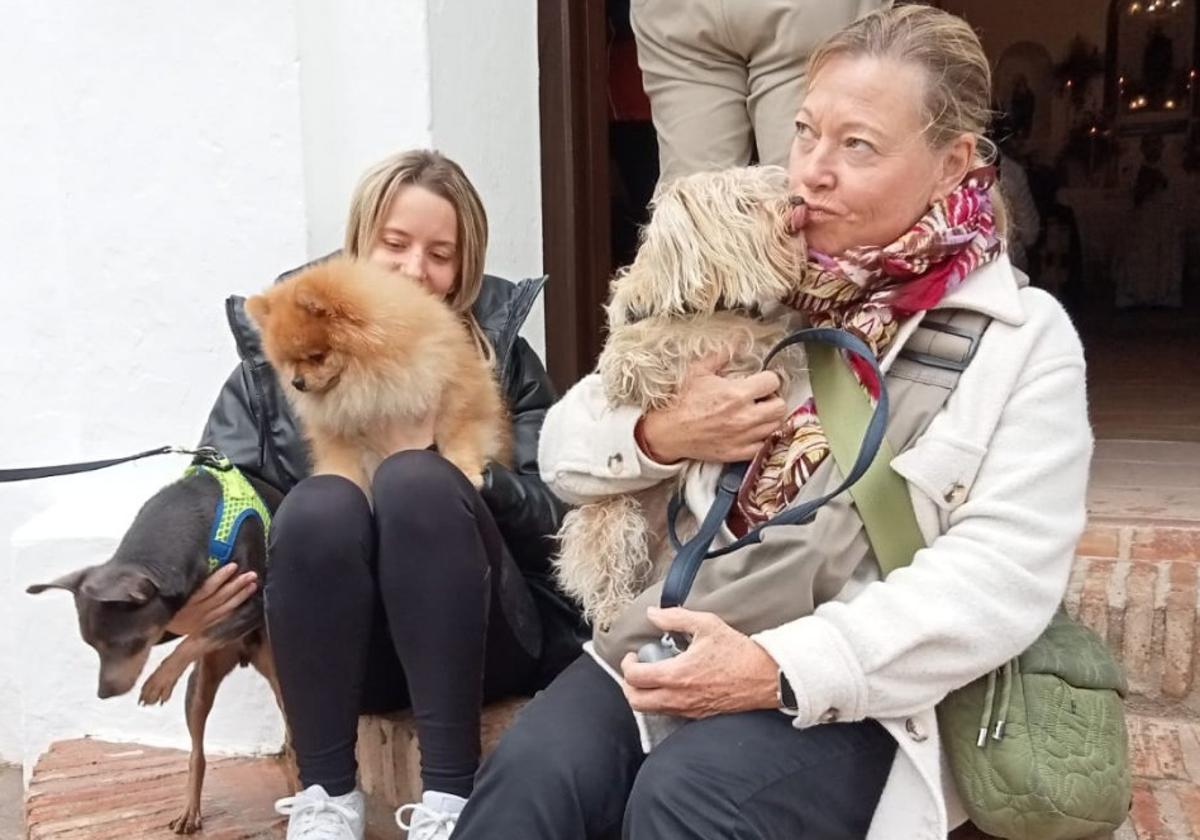 Single women and animal lovers head to San Antón festivities in Mijas