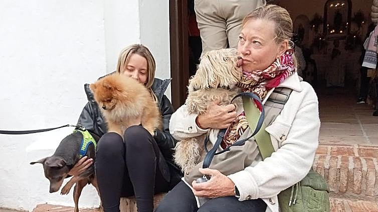 Single women and animal lovers head to San Antón festivities in Mijas