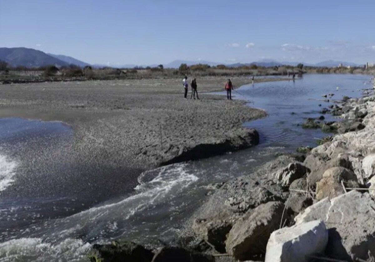 Hundreds of fish die after being trapped in mouth of Malaga&#039;s Guadalhorce river
