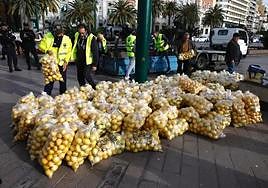 A Guadalhorce Valley farmer gives away lemons to highlight his plight.