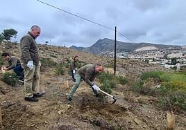Planting of the first 30 trees began on Monday.