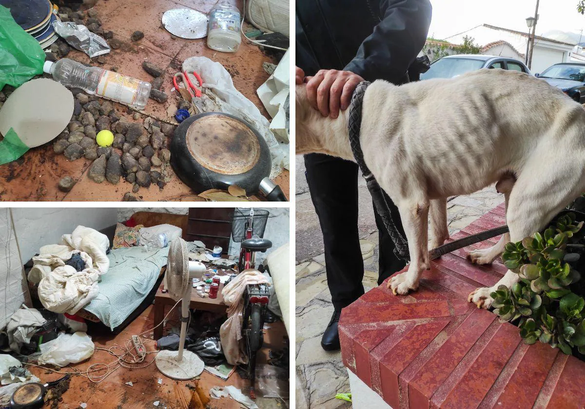 Dog is rescued by police after being found locked up without food or water in Marbella storage shed