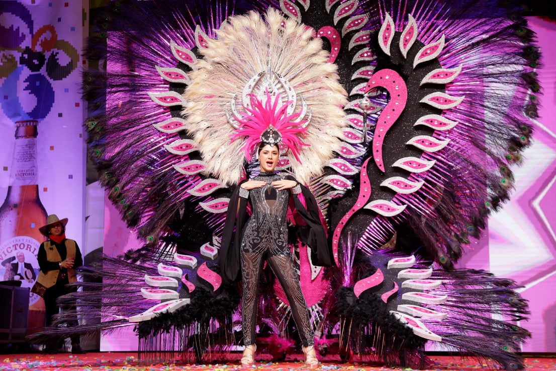 Malaga Carnival 2024, in pictures