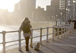 File image of morning mists.