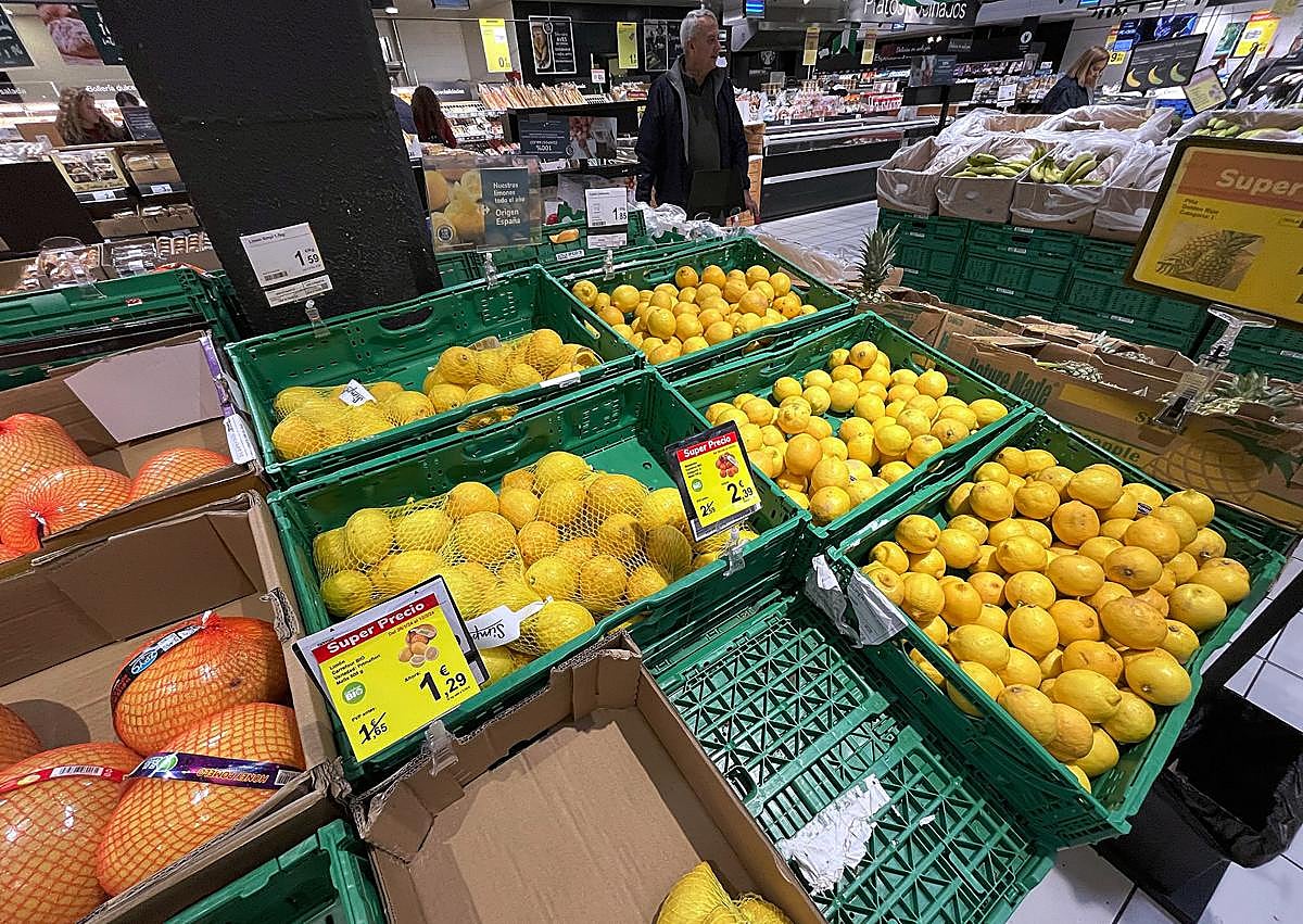 Imagen secundaria 1 - Lemon disgrace: from just ten cents off the tree to more than two euros in the supermarket