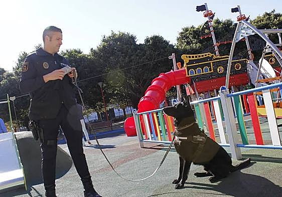 Loki, the Costa del police dog that plays a vital role in the fight against drugs