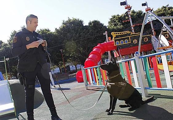 Loki and handler David Bravo during a training exercise.