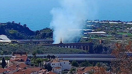 Environmentalists raise concerns over fire prevention measures in the Axarquía