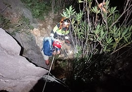 The rescue work of the Marbella fire brigade.