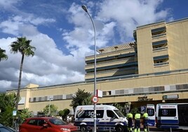 Costa del Sol hospital in Marbella (file image).