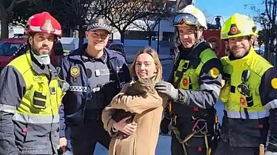 Watch as Coco, the cat that miraculously survived for eight days after the Valencia fire tragedy, is reunited with overjoyed owner