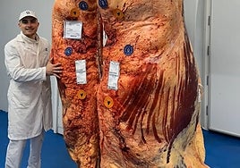 Francisco Rico, manager of Cárnicas Rigar, with the carcass.