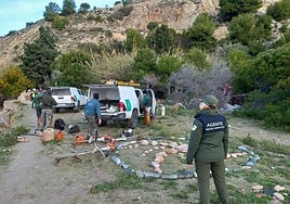 Junta de Andalucía, Guardia Civil and Local Police officers arrived at the site in the early hours of Tuesday 5 March.