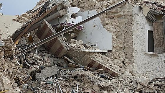 Costa del Sol town to celebrate ‘dog day’ with specialist unit involved in Morocco earthquake rescue