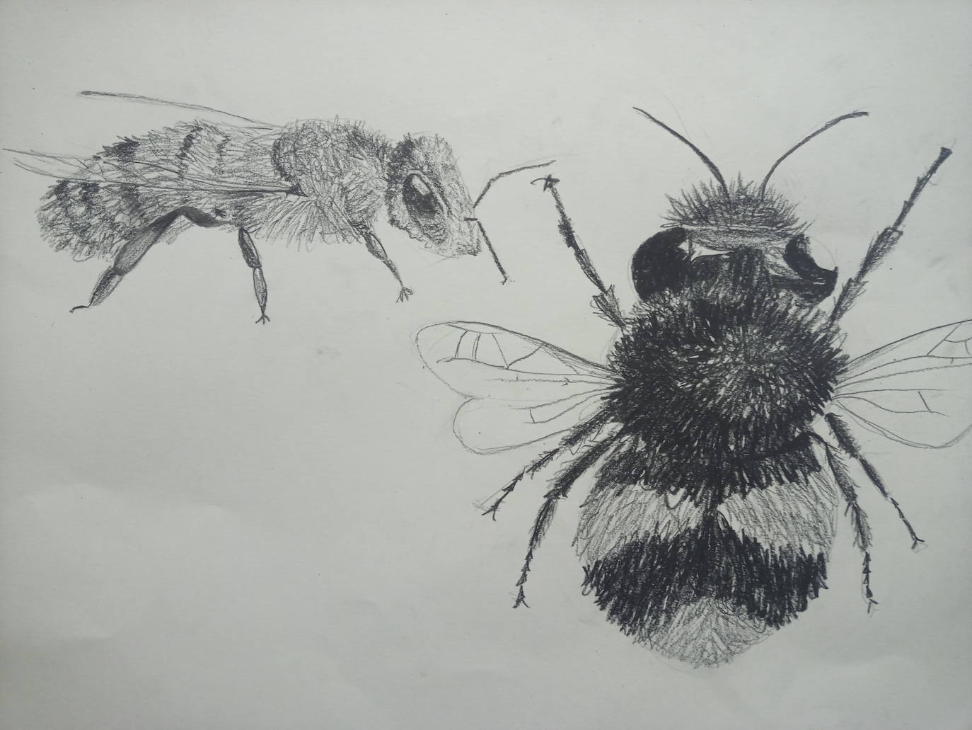 Tereza, aged 13. Laude San Pedro International College