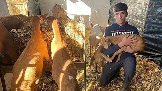 Video of the Malaga teenager who dreams of being a goat herder goes viral