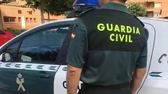 Man accused of assaulting ex-partner and beating her dog to death in Costa del Sol town