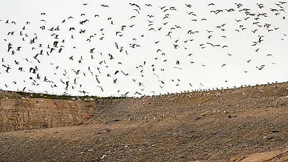 Europe launches legal proceedings against Spain for inadequate landfill management