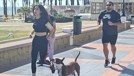 Pet owners alerted to fake police officers targeting foreign residents exercising their dogs on the Costa del Sol