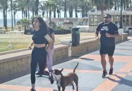 People exercising on La Carihuela seafront in Torremolinos (file image).