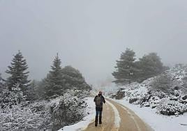 Image of the Sierra de las Nieves this Tuesday.
