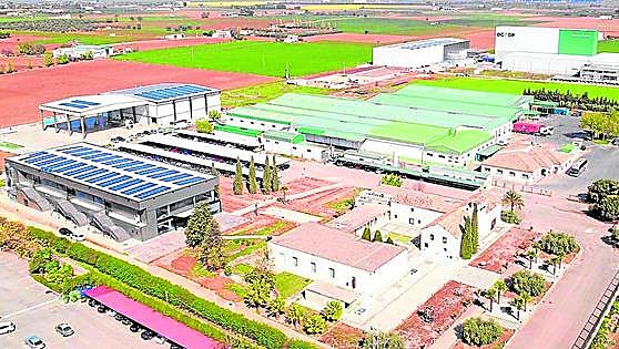 Andalucía leads Spain's social enterprise economy with over 4,900 cooperatives