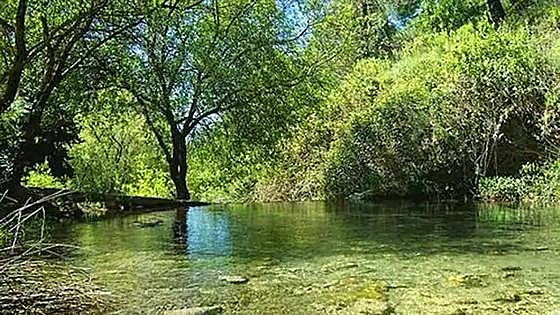 Junta de Andalucía logs more than 12,500 natural water sources and springs across the region