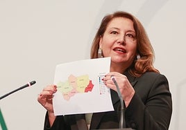 Carmen Crespo during her press conference on Tuesday.