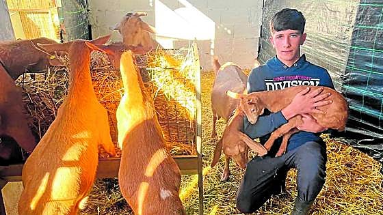Meet the Malaga teenager who went viral for wanting to be a goat farmer
