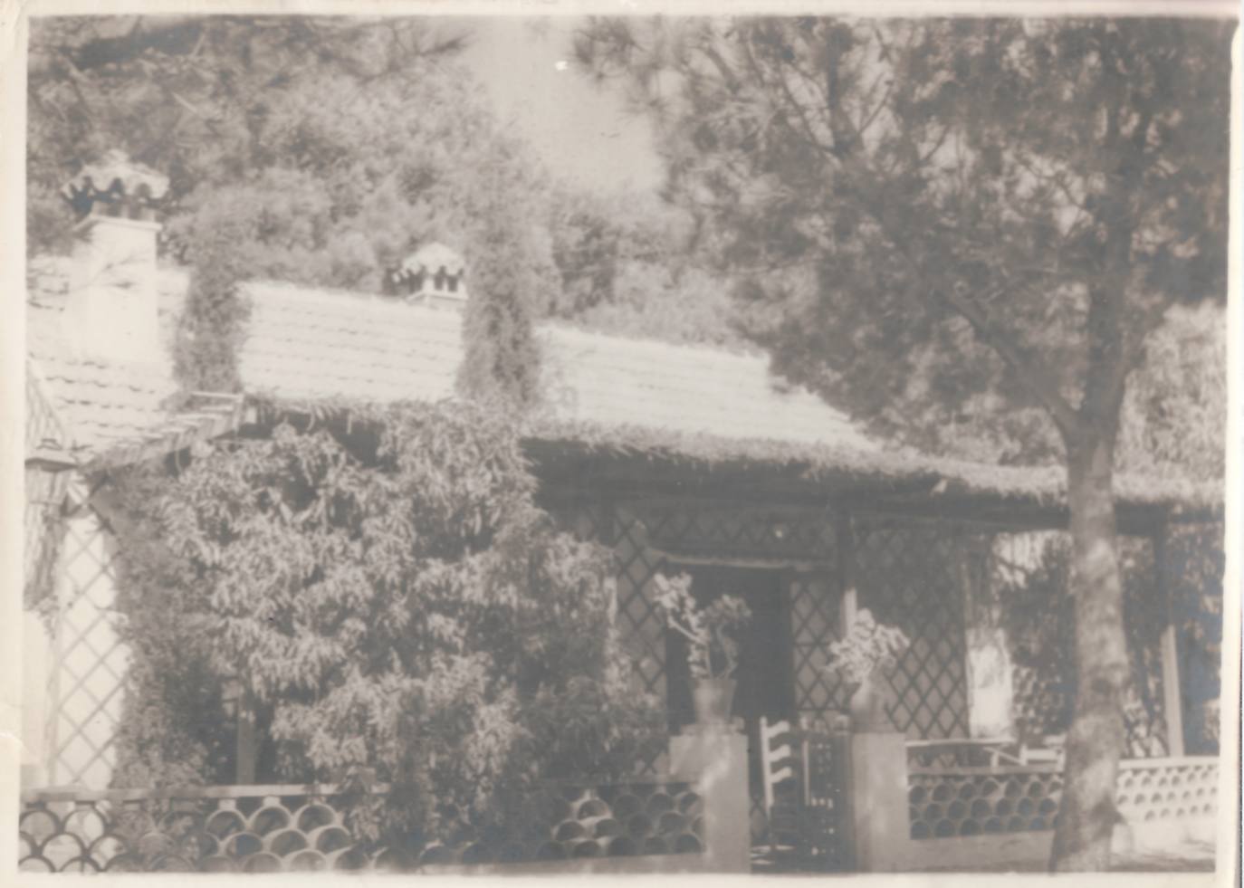 The bungalows at La Verdad were surrounded by vegetation and very private.