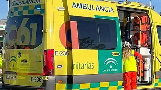 Driver dies after vehicle collides with central reservation and crashes off AP-7 on the Costa del Sol