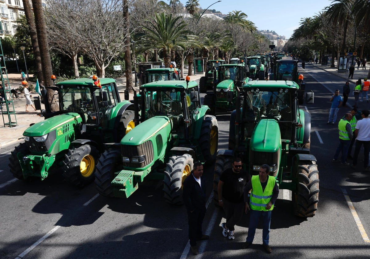 Farmers' protests start fizzling out in Malaga as no new dates set