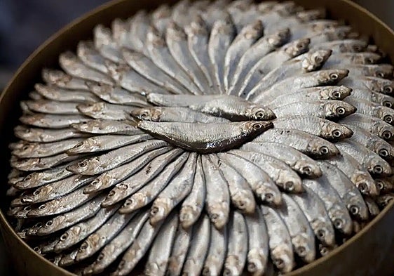 Eating more sardines and less red meat would prevent 750,000 deaths
