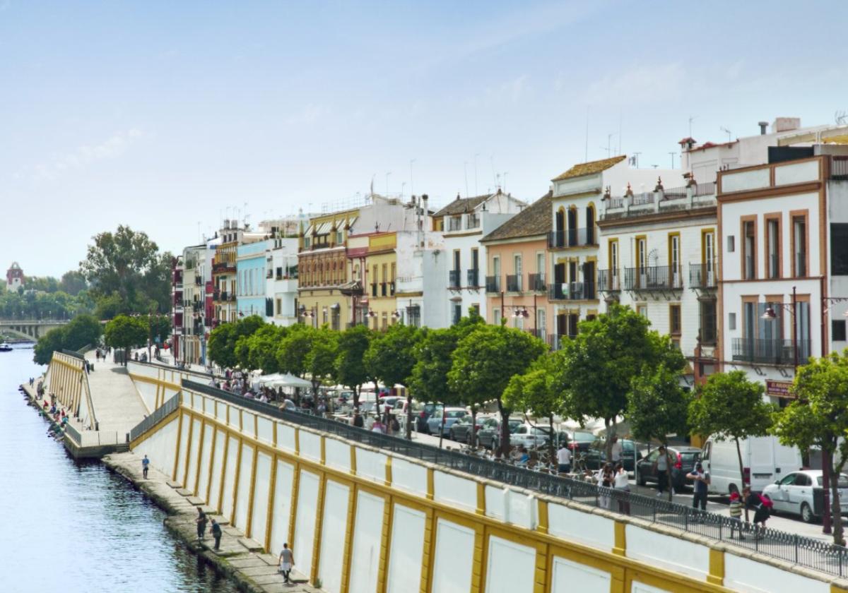 Triana: Beyond the three-branched river