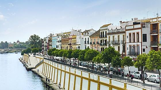 Triana: Beyond the three-branched river